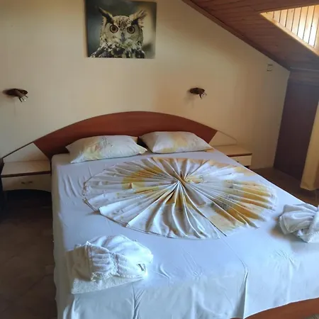 Konukevi Hetodon Süzebolu