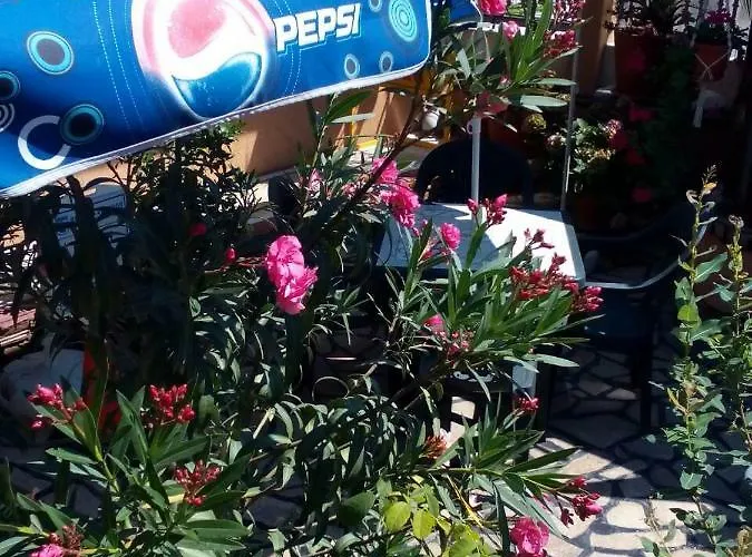 Къща за гости хетодон